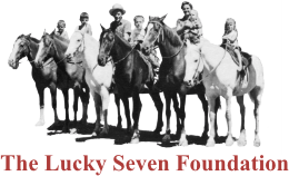 Lucky Seven Foundation